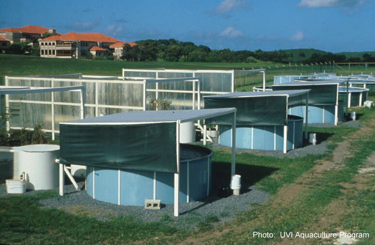 Aquaculture Facilities in early 1980's